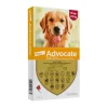 Hot Bayer Advocate Perros 10 A 25Kg Antiparasitarios