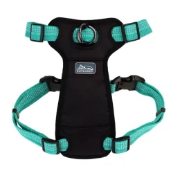 Best Coastal Arn S Brights Reflective Front-Connect, Ocean