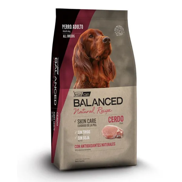 Hot Balanced Natural Recipe Cerdo