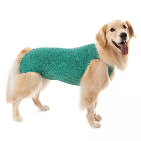 Online Petmed Body Quirurgico Perro - Verde