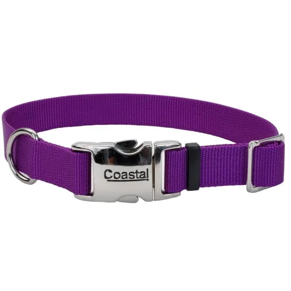 Hot Coastal Collar Adjustable Dog With Metal Buckle, Purple