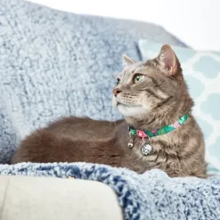 Max & Molly Collar Con Smart Id Para Gatos Tropical
