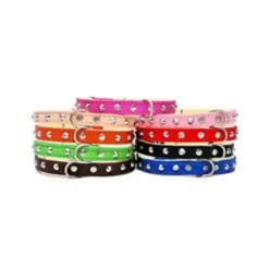 New Cueros Collar Cuero Con Tachas