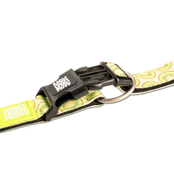 Best Max & Molly Collar Kiwi Con Smart Id