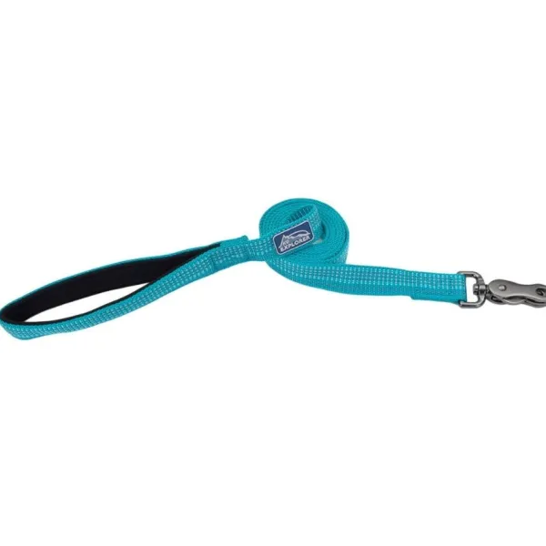 New Coastal Correa Brights Reflective Dog, Ocean