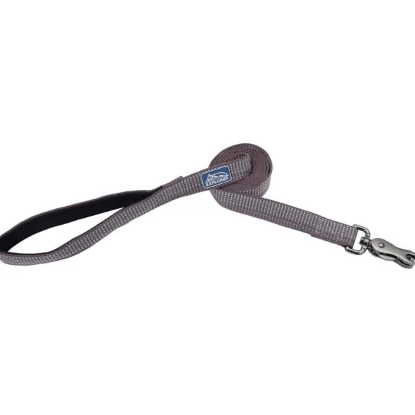 Hot Coastal Correa Brights Reflective Dog, Mountain