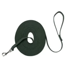 Outlet Coastal Correa Cotton Web Dog Training, Green