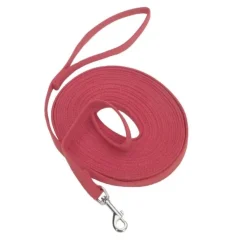 Hot Coastal Correa Cotton Web Dog Training, Red