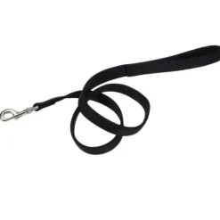 Online Coastal Correa Double-Ply Dog 1" X 06'