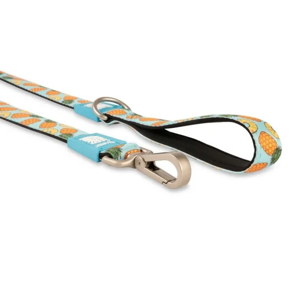 Clearance Max & Molly Correa Sweet Pineapple - 1.2 Metros