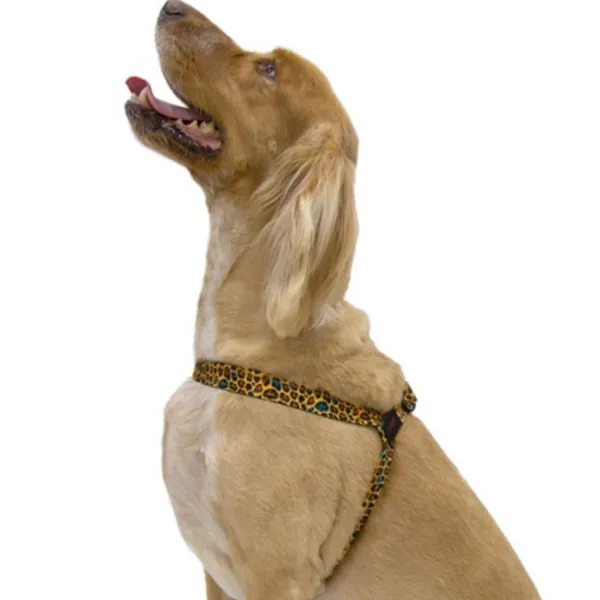 Online Tk-Pet Dog Arn S Leopard