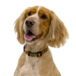 Clearance Tk-Pet Dog Collar Leopard