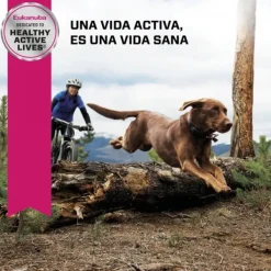 Online Eukanuba Adulto Large Alimento Para Perro