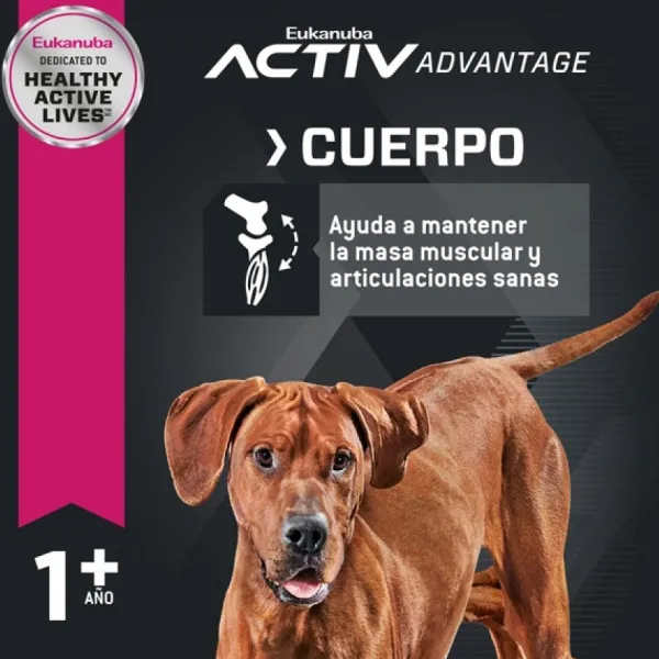 Online Eukanuba Adulto Large Alimento Para Perro