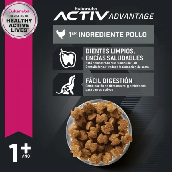 Online Eukanuba Adulto Large Alimento Para Perro