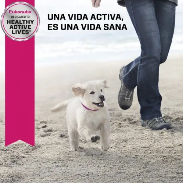 Online Eukanuba Puppy Large Alimento Para Perro