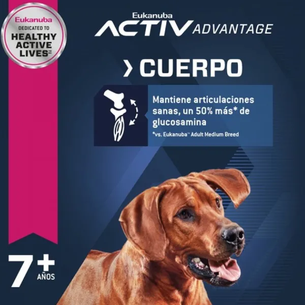 Clearance Eukanuba Senior Large Alimento Para Perro