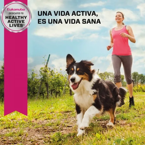Outlet Eukanuba Senior Small Alimento Para Perro