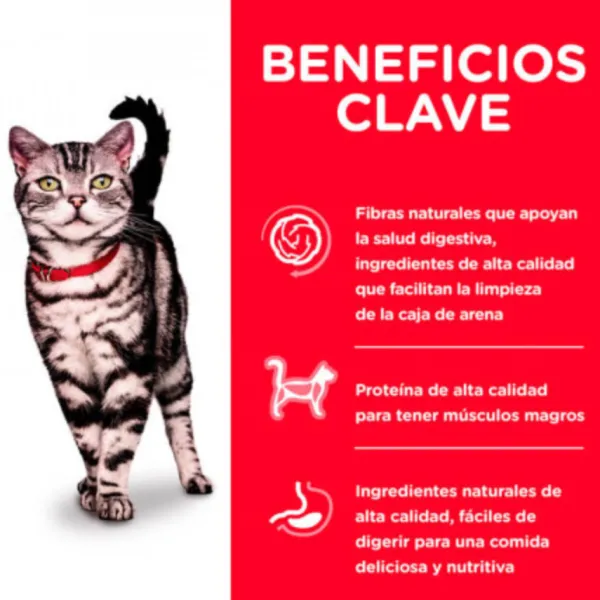 Online Hill's Felino Mature Indoor 1.6 Kg