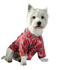 Discount Mister & Misses Pet Guayabera Para Mascota Tokio