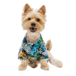 Online Mister & Misses Pet Guayabera Para Mascota Tropical Cali