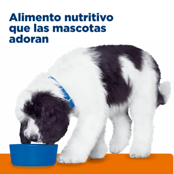Discount Hill's Hills Canine C/D Urinary Care