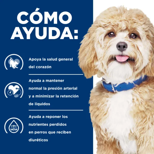 Outlet Hill's Hills Canine H/D Heart Care