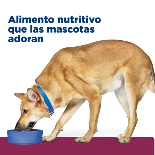 Outlet Hill's Hills Canine I/D Digestive Care