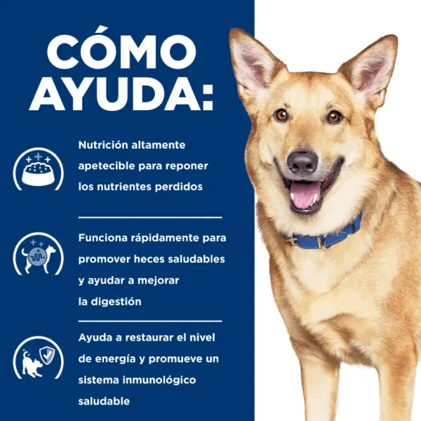 Outlet Hill's Hills Canine I/D Digestive Care