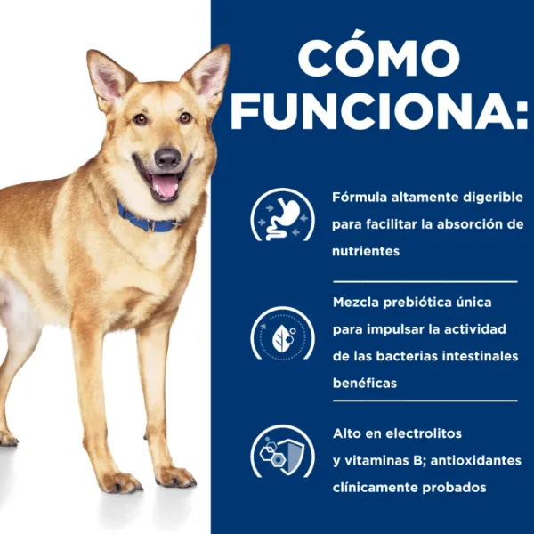 Outlet Hill's Hills Canine I/D Digestive Care