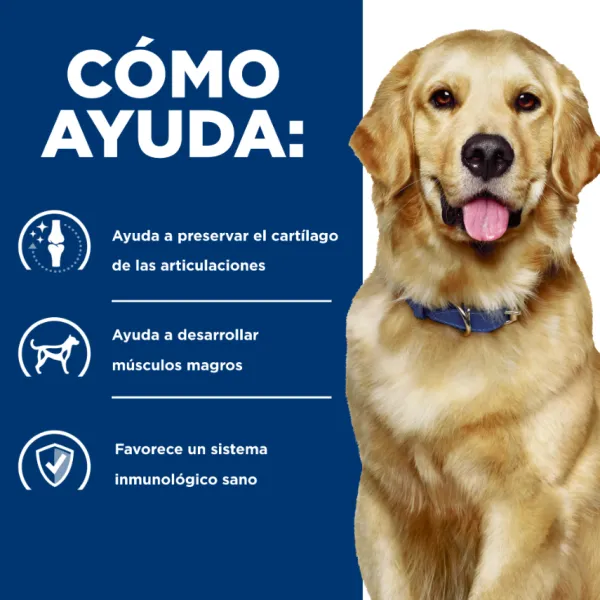 Discount Hill's Hills Canine J/D Joint Care