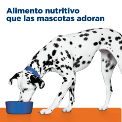Hot Hill's Hills Canine U/D Urinary Care