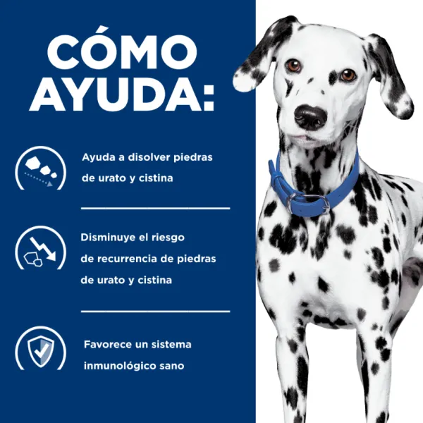 Hot Hill's Hills Canine U/D Urinary Care