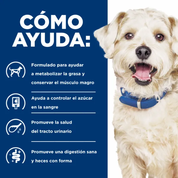 Online Hill's Hills Canine W/D Digestive / Weight / Glucose Mgmt.