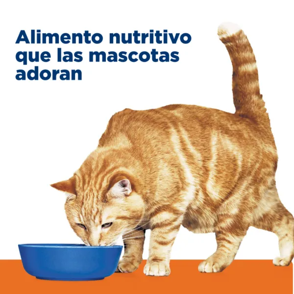 Sale Hill's Hills Feline C/D Urinary Care Multicare