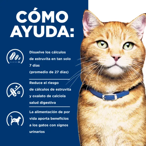 Sale Hill's Hills Feline C/D Urinary Care Multicare