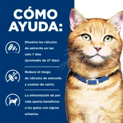 Online Hill's Hills Feline Lata Multicare Pollo C/D Alimento H Medo Para Gatos