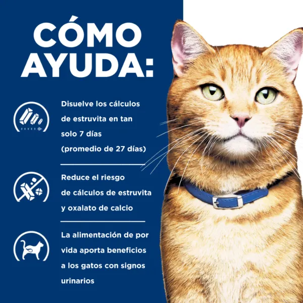 Online Hill's Hills Feline Lata Multicare Pollo C/D Alimento H Medo Para Gatos