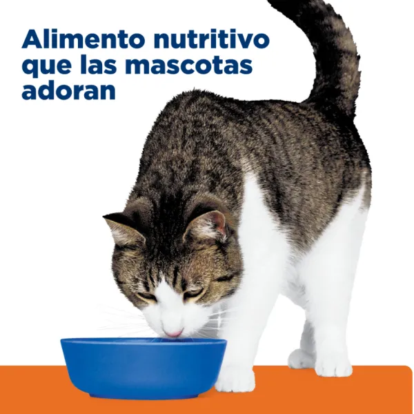 Hot Hill's Hills Feline Metabolic + Urinary 2.88 Kg