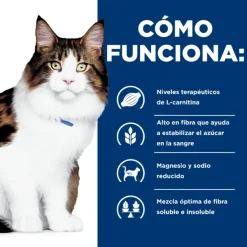 Discount Hill's Hills Feline W/D Digestive / Weight Mgmt.
