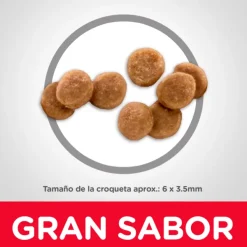 Online Hill's Hills Kitten Healthy Development Alimento Para Gato