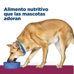 New Hill's Hills Lata Canine I/D Cuidado Digetivo Alimento H Medo Para Perros