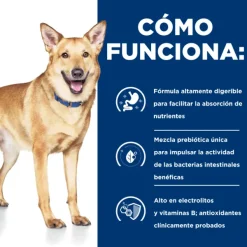 New Hill's Hills Lata Canine I/D Cuidado Digetivo Alimento H Medo Para Perros