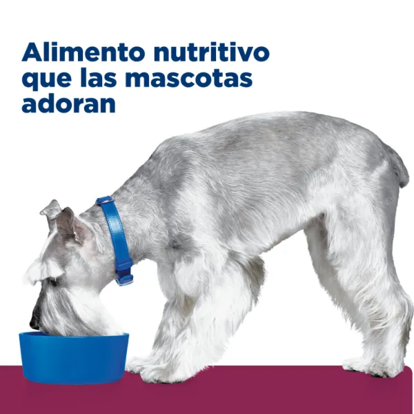 Hot Hill's Hills Lata Canine I/D Cuidado Digestivo Bajo En Grasa Alimento H Medo Para Perros