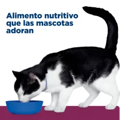 Online Hill's Hills Lata Feline I/D Cuidado Digestivo Alimento H Medo Para Gatos