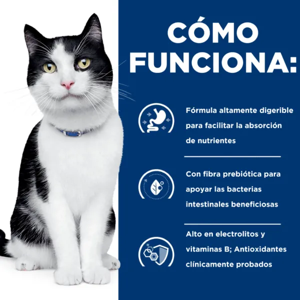 Online Hill's Hills Lata Feline I/D Cuidado Digestivo Alimento H Medo Para Gatos