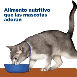 Sale Hill's Hills Lata Feline K/D Cuidado Ri On Alimento H Medo Para Gatos