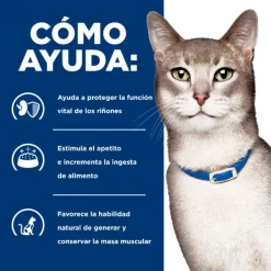 Sale Hill's Hills Lata Feline K/D Cuidado Ri On Alimento H Medo Para Gatos