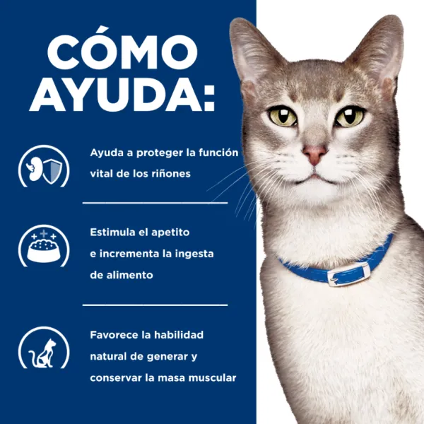 Sale Hill's Hills Lata Feline K/D Cuidado Ri On Alimento H Medo Para Gatos