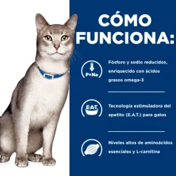 Sale Hill's Hills Lata Feline K/D Cuidado Ri On Alimento H Medo Para Gatos
